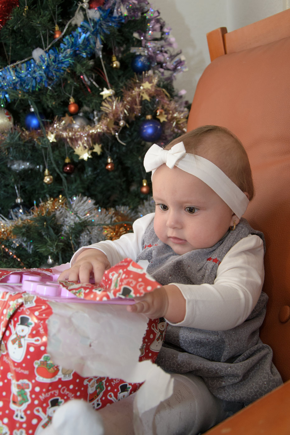 DSC_0437_web