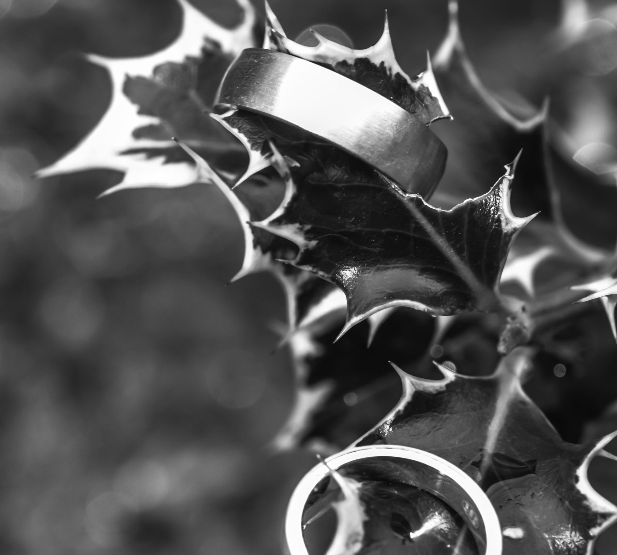 DSC_9014_b&w